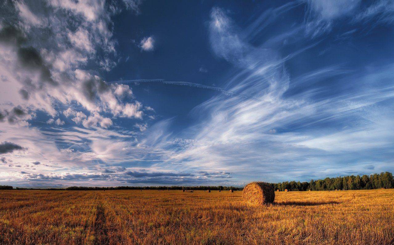 , Владлен Халимов