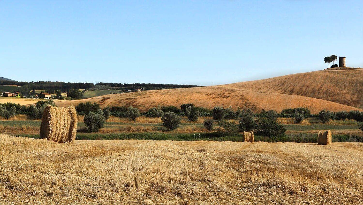 италия, тоскана, Игорь Дубровский
