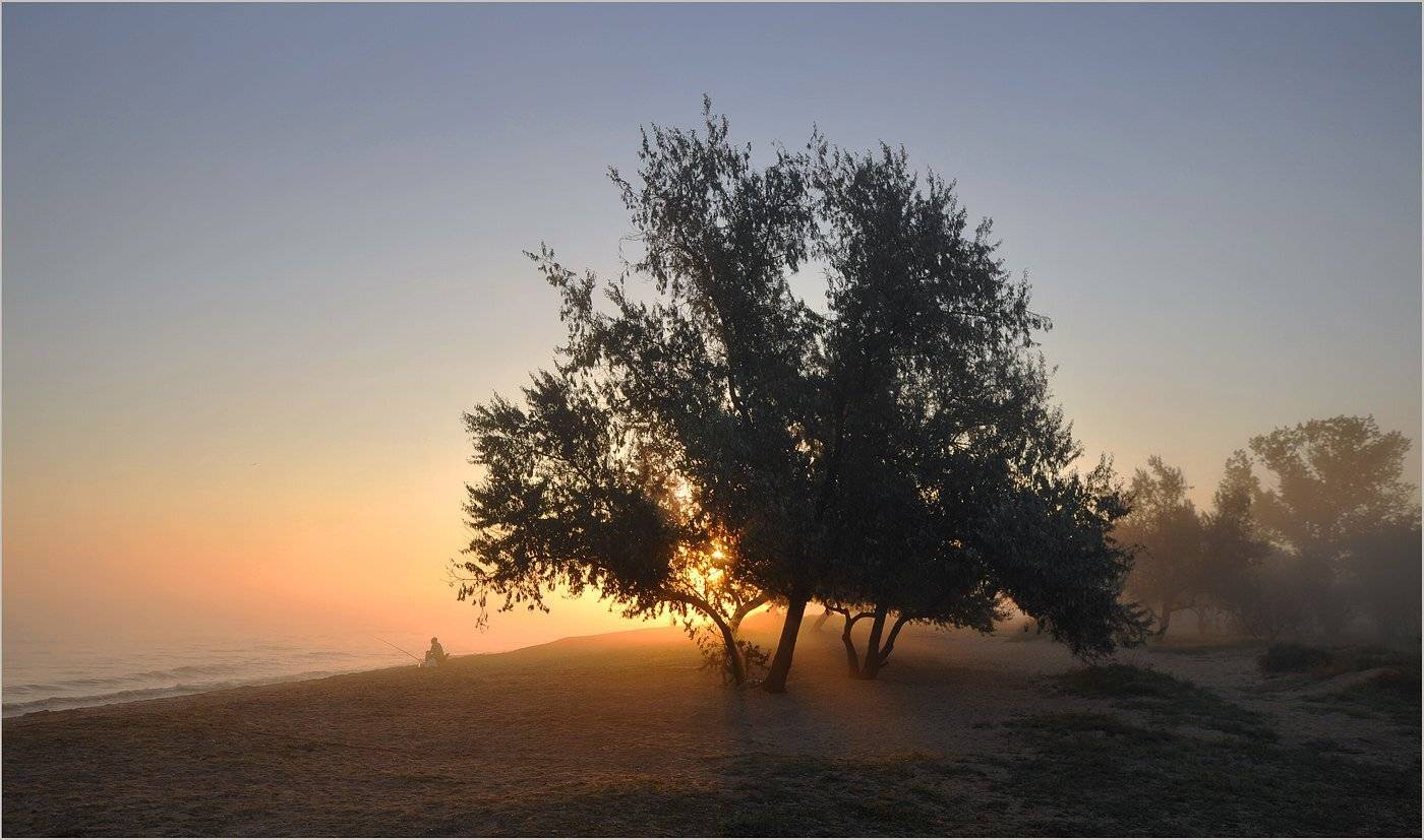 голубицкая, азовское, море, Борис Пирог