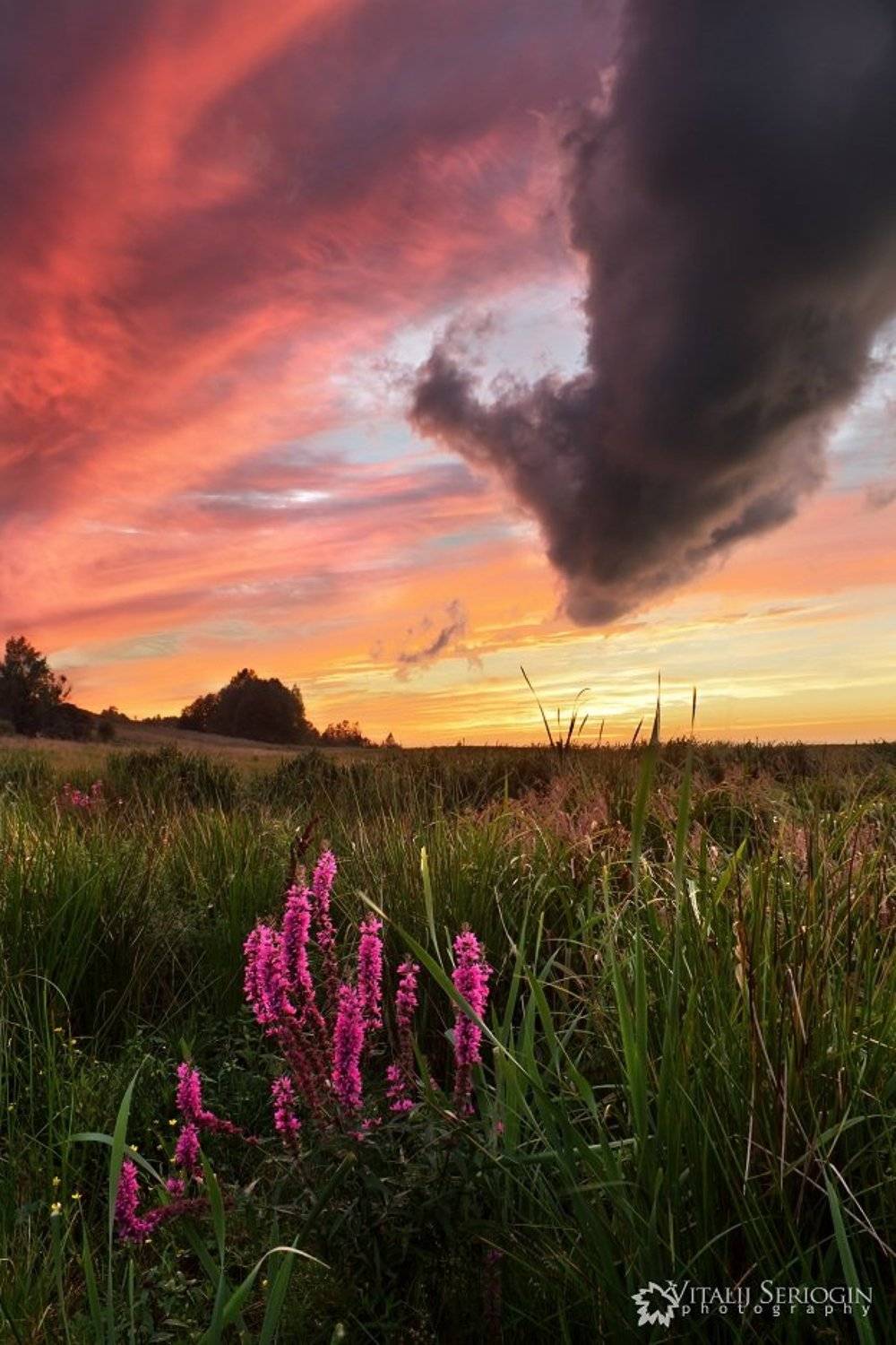 поле, небо, Vitalijus Serioginas