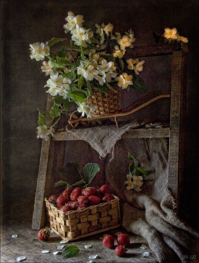 still, life, strawberry, summer, jasmine, натюрморт, клубника, жасмин, лето, El. G.
