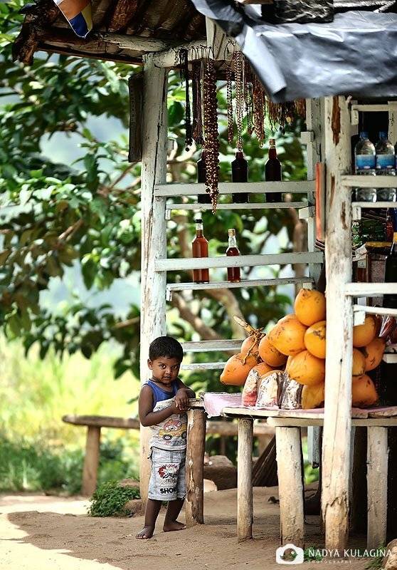 цейлон, шри ланка, лица, Nadya Kulagina