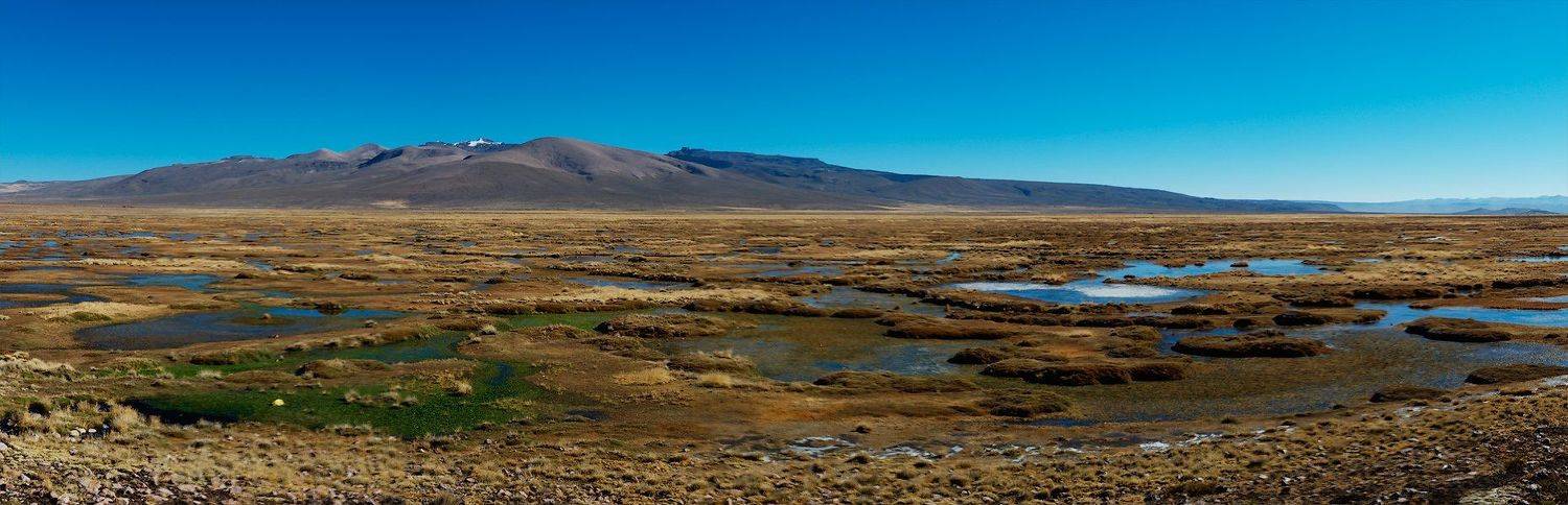 перу, альтиплано, пампа, Виктор Чистов