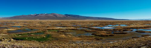 Перу. Pampa Canahuas