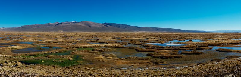 перу, альтиплано, пампа Перу. Pampa Canahuas фото превью