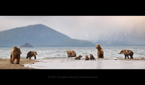 Пляжный сезон