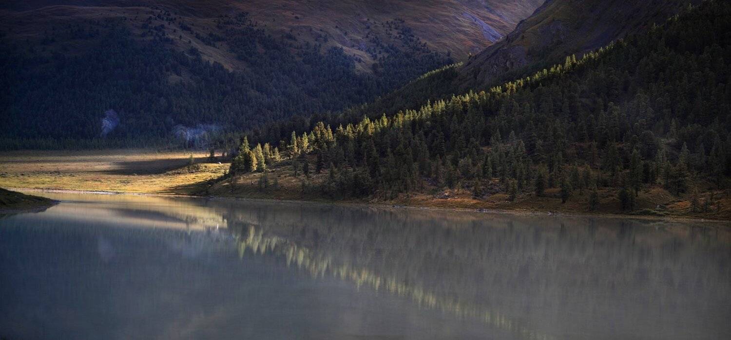 , Степан Каморный