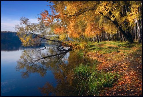 НА ОСЕННЕМ БЕРЕГУ
