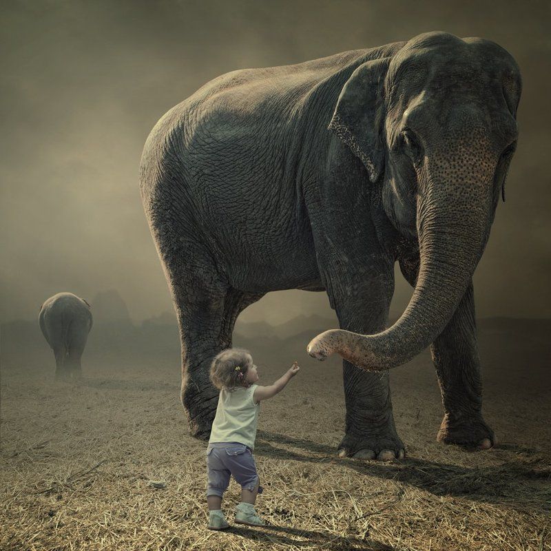 Can we be friends ? фото превью