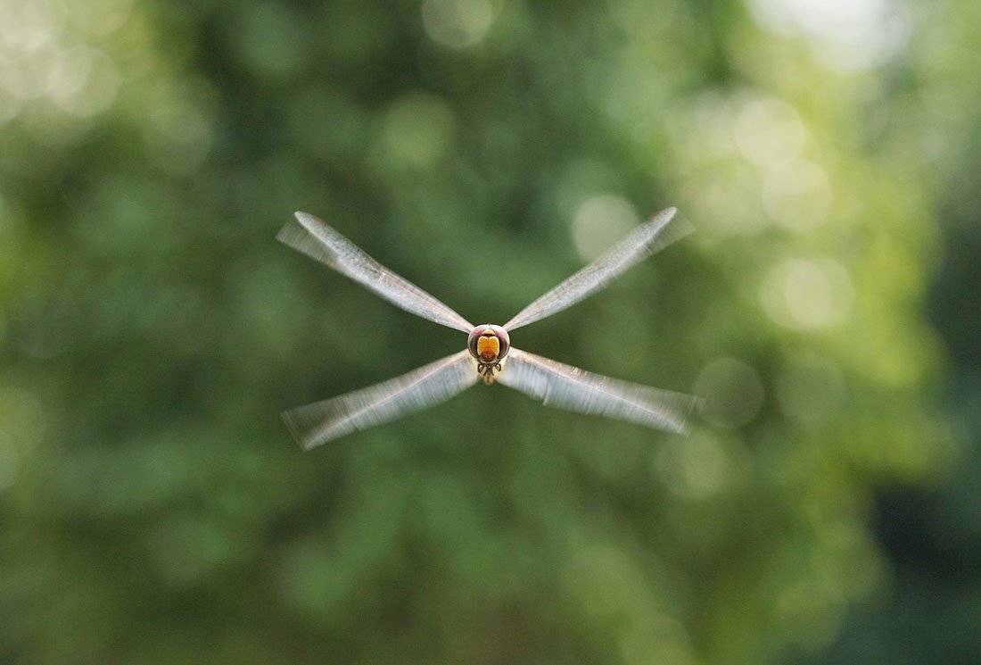 бомбардировщик, tyler