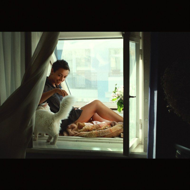 девушка, кот, окно, чай, цветы, свет *** фото превью