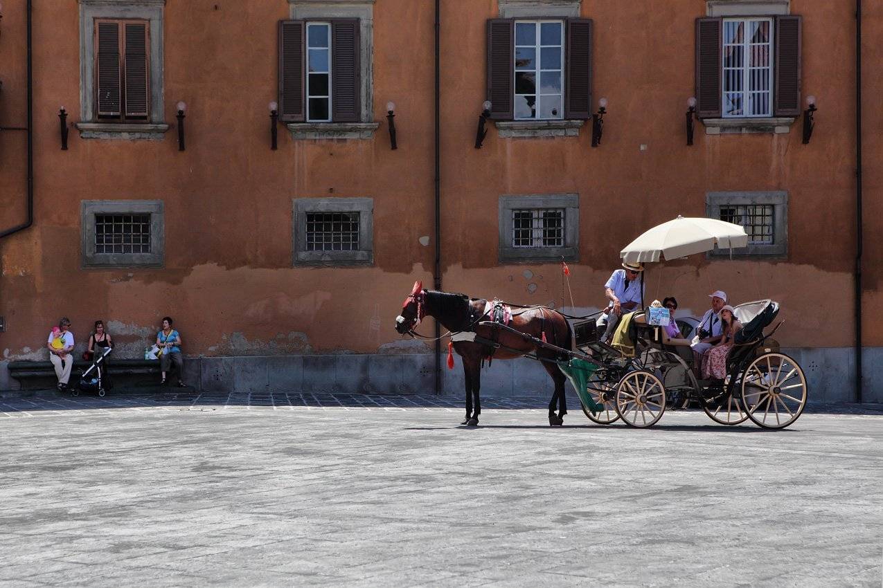 италия, тоскана,пиза, Игорь Дубровский