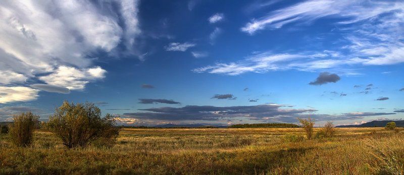 * * * фото превью