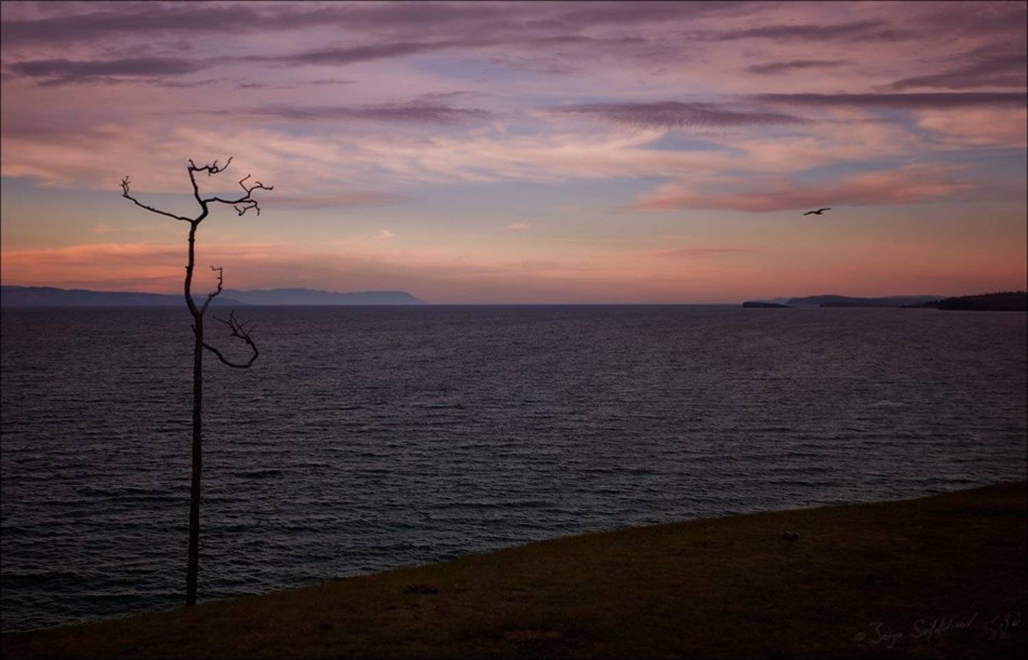 , Евгений Мудренко