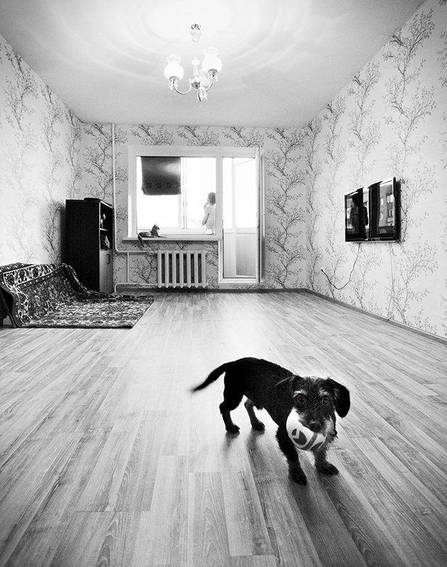 ... фото превью