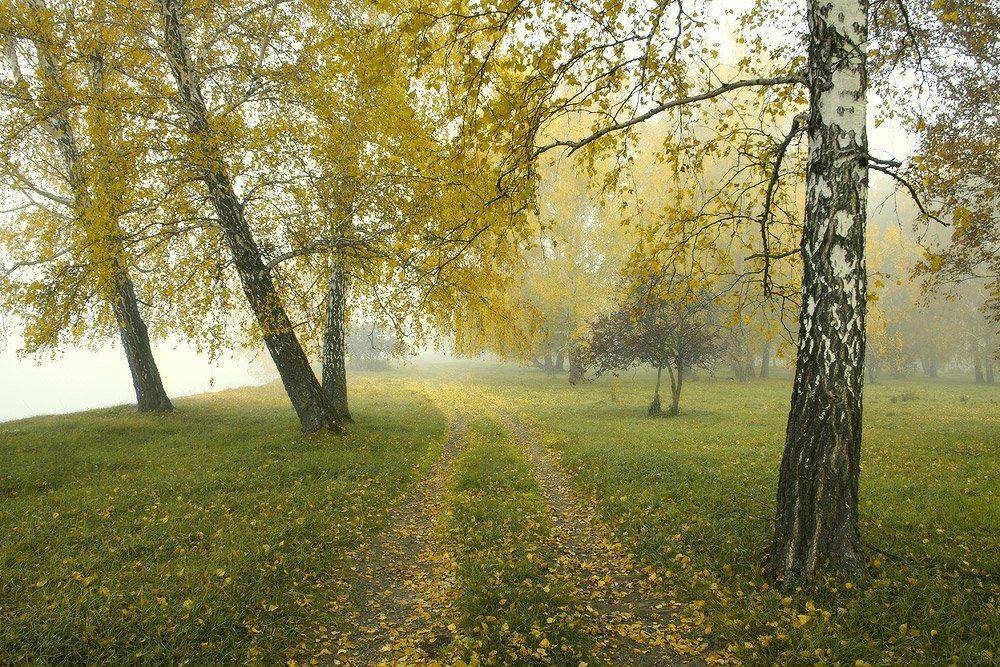 , Николай Морский