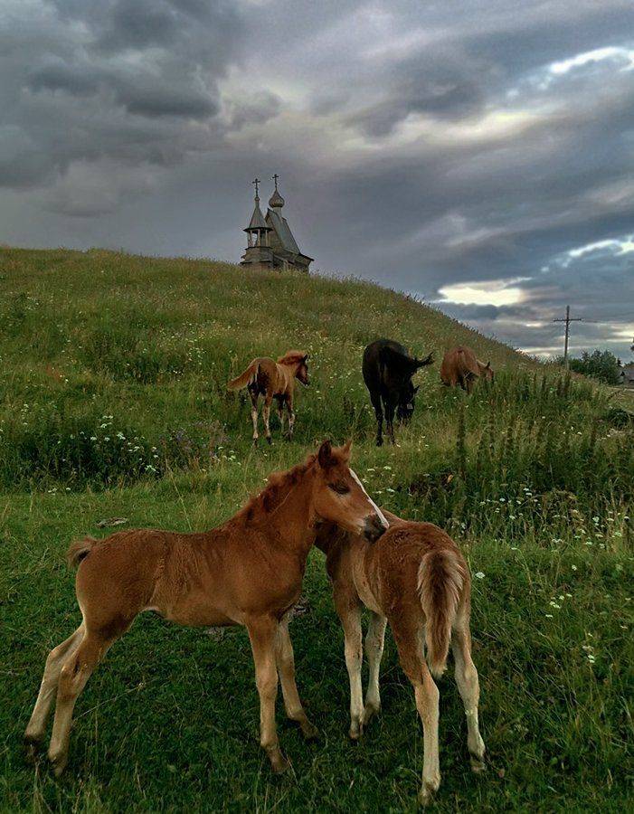 , Валерия Струнникова
