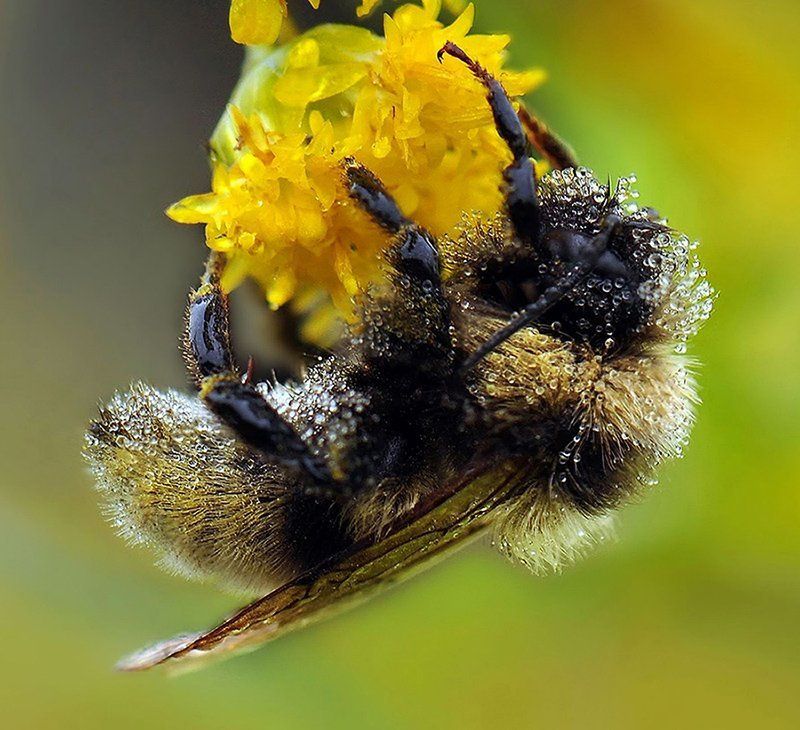Нелетная погода фото превью