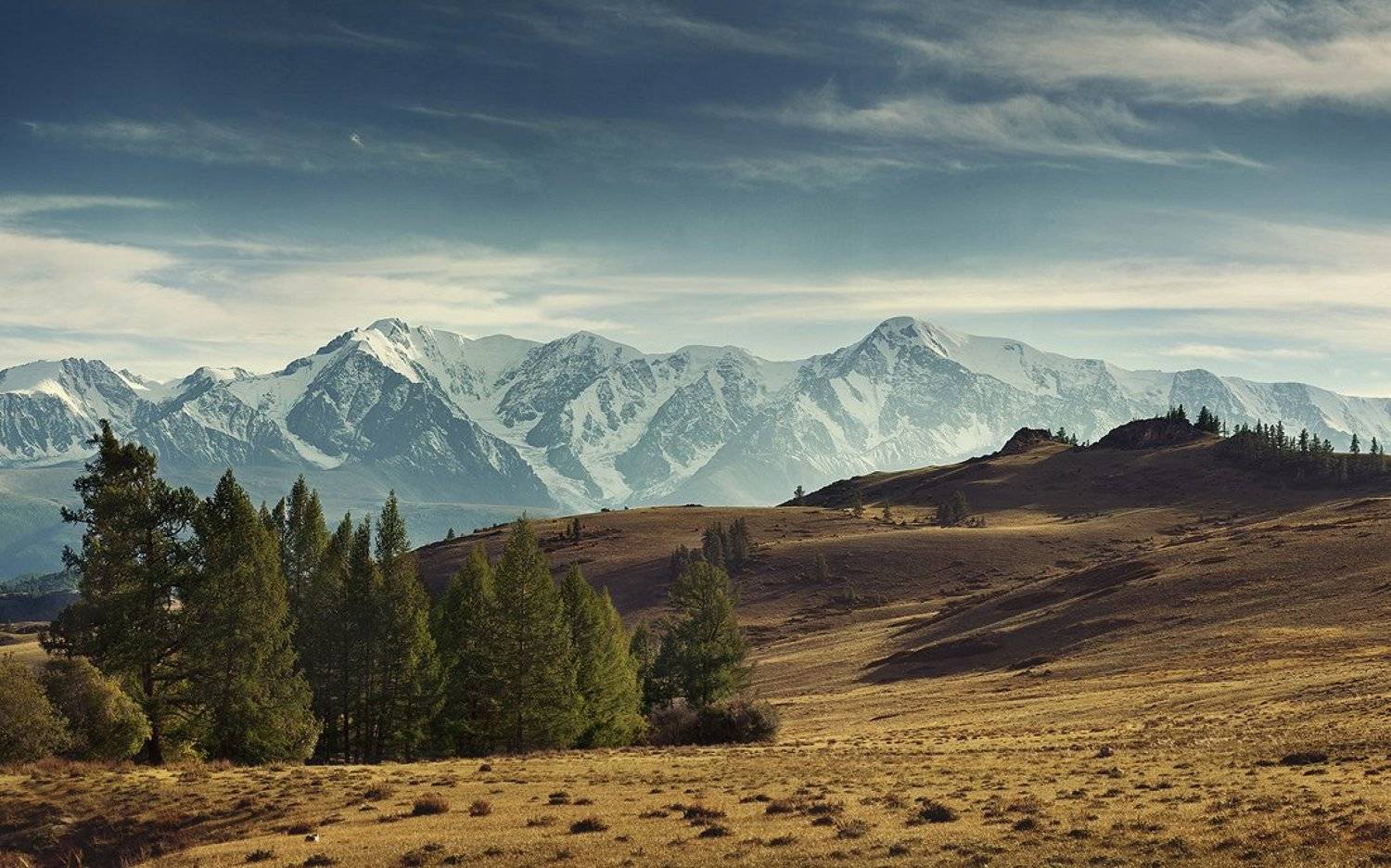 алтай, сибирь, россия, северо-чуйский, хребет, горы, ледники, степь, красота, простор, лиственницы, нерозя, Horimono