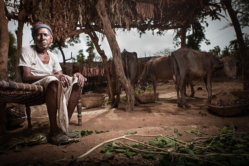 india фото превью