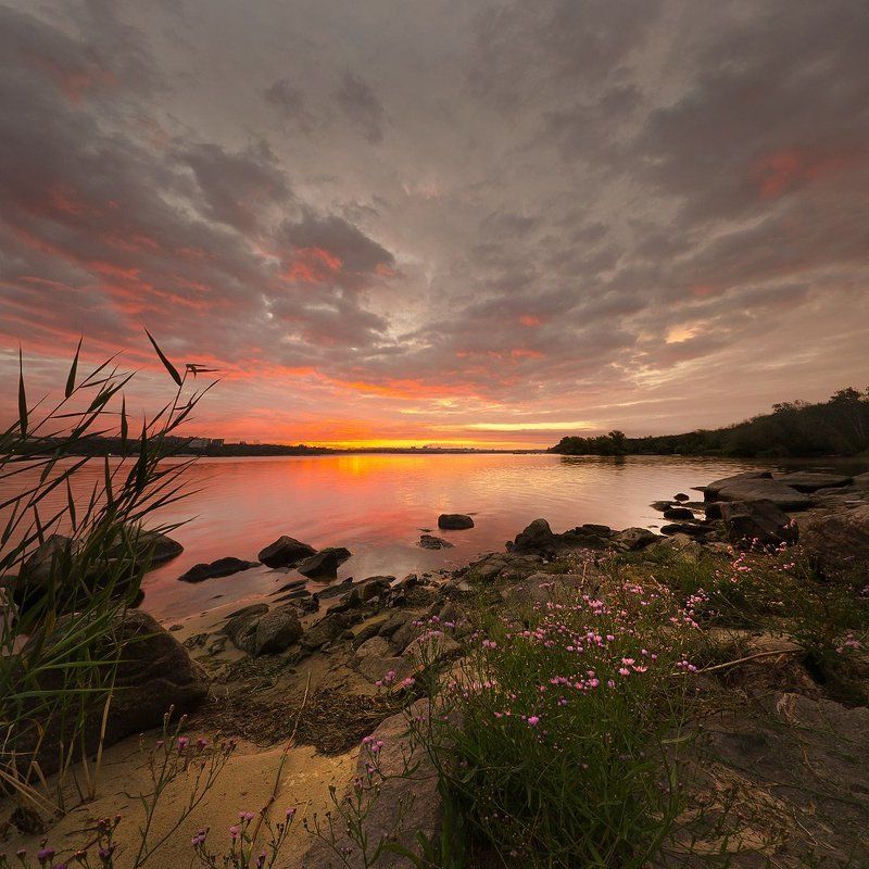 *** фото превью