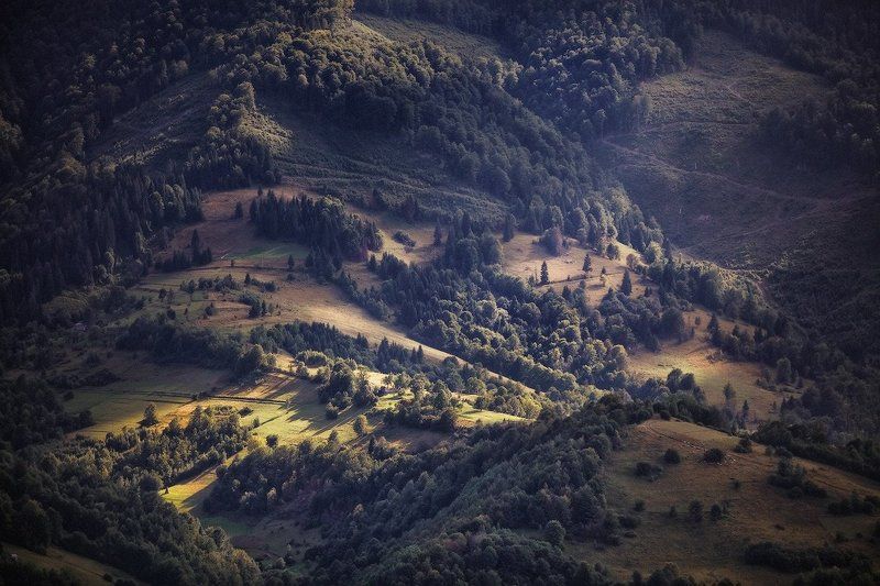 Карпаты. Середина Августа. фото превью