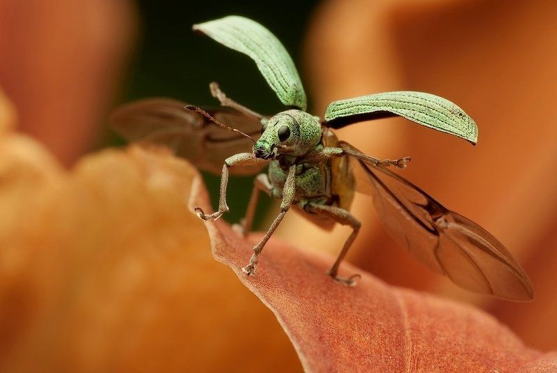 ulotna chwila фото превью