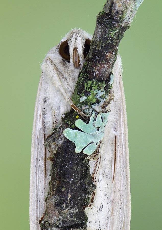 , Сергей Таланов