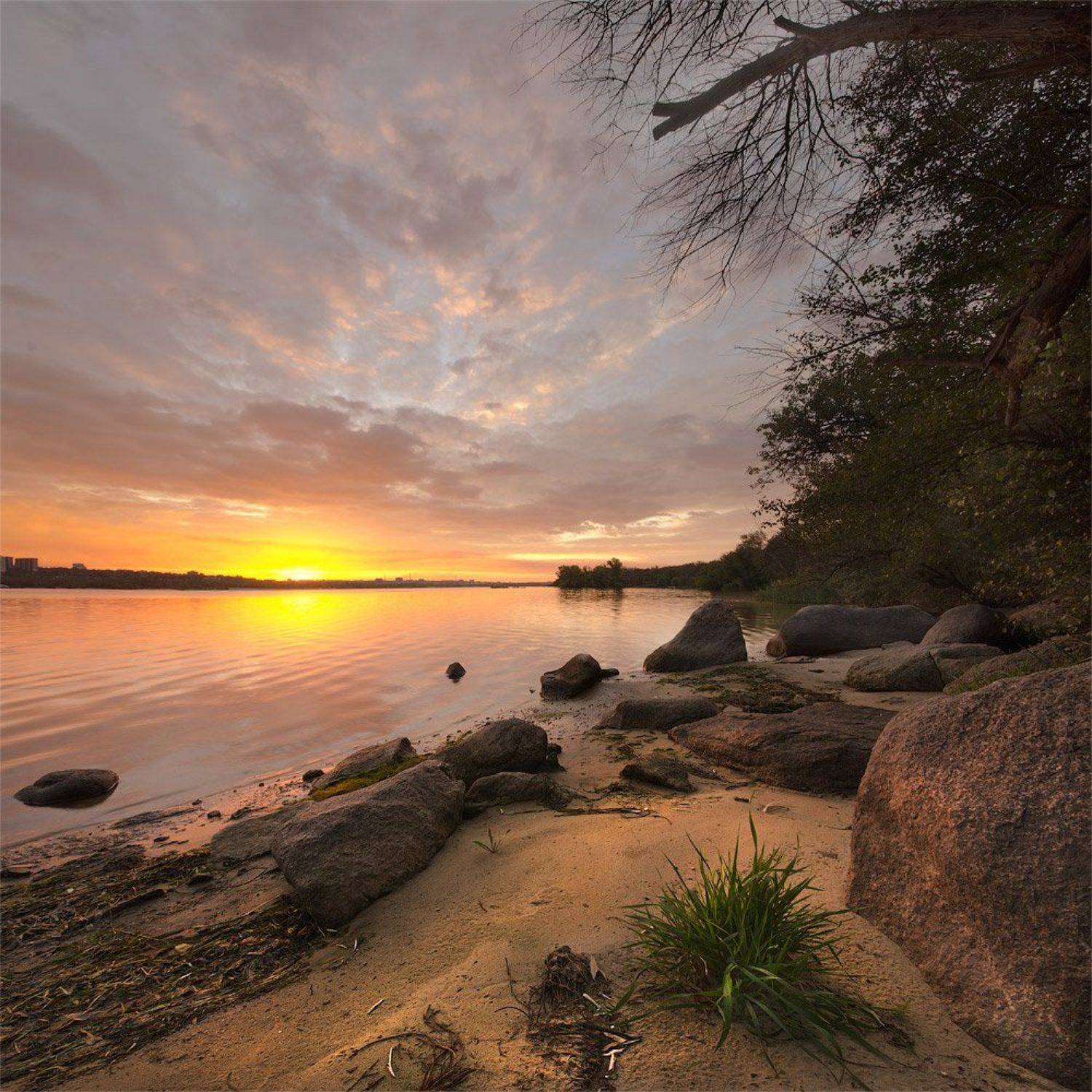 , Величко Владимир