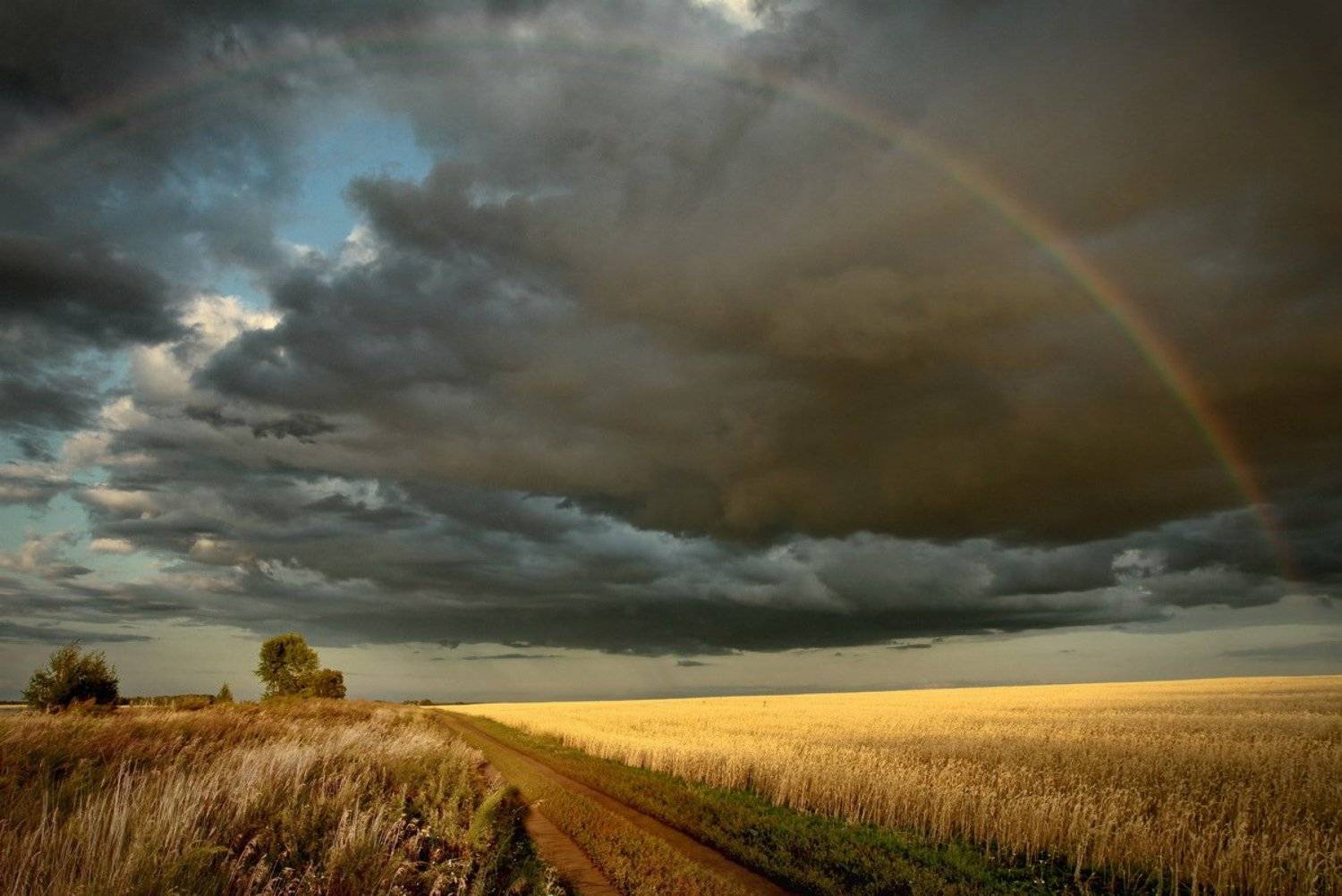 , Васенин Валерий
