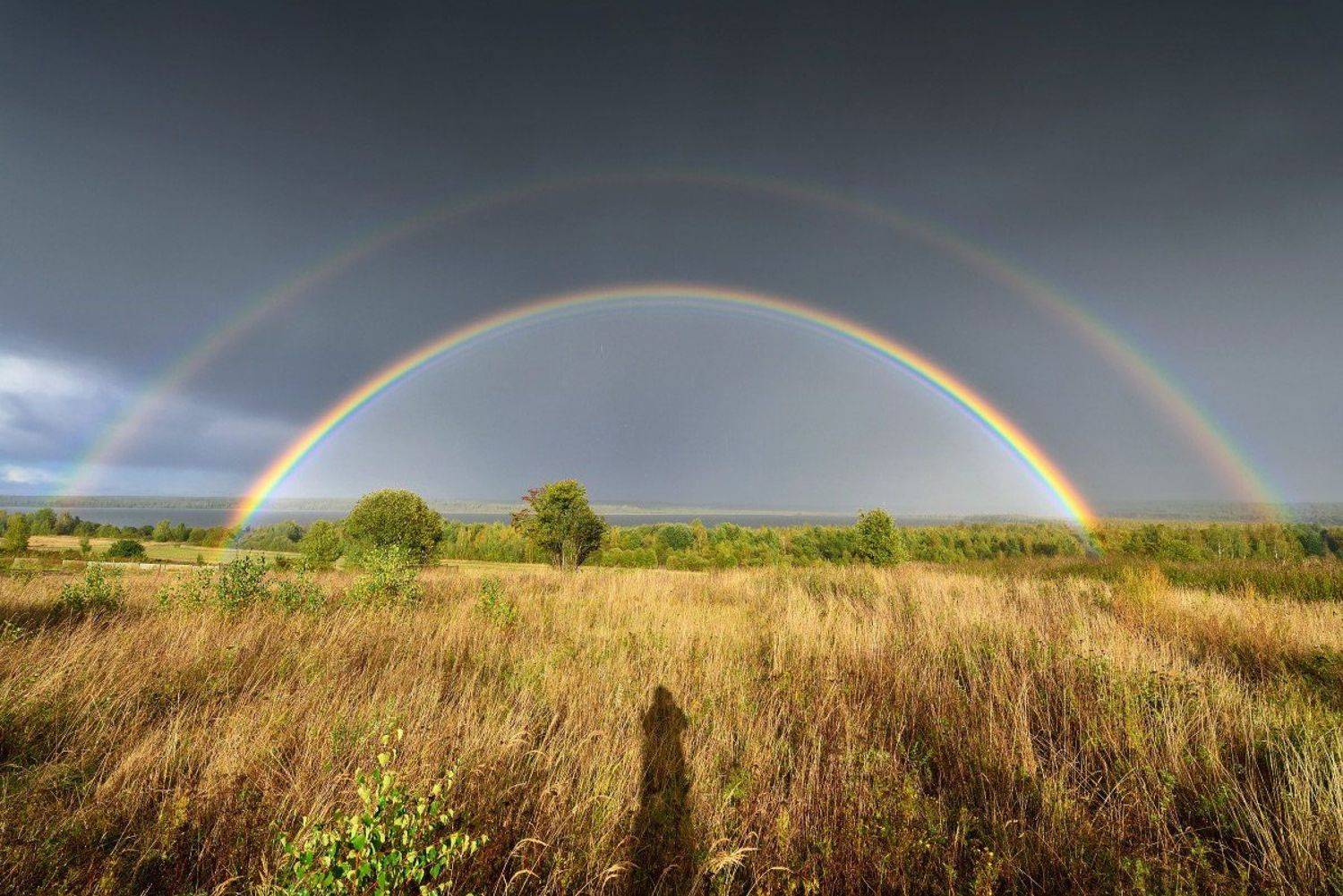 , Максим Евдокимов