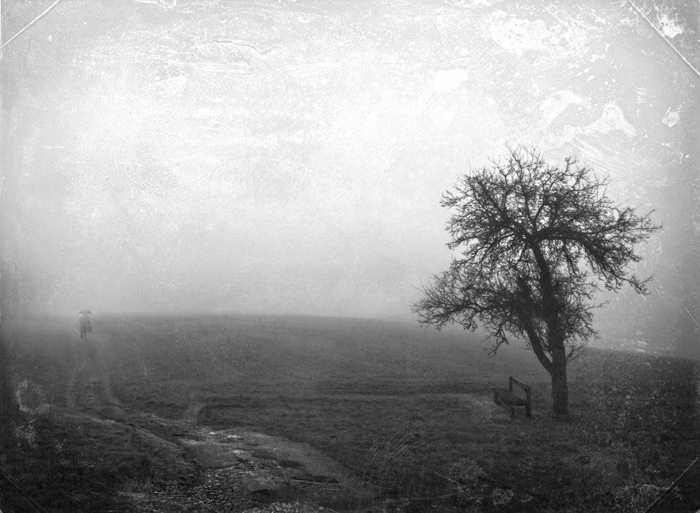 , Людмила Прокофьева