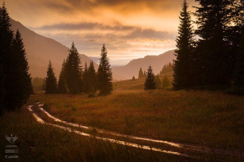 Под дождем... фото превью