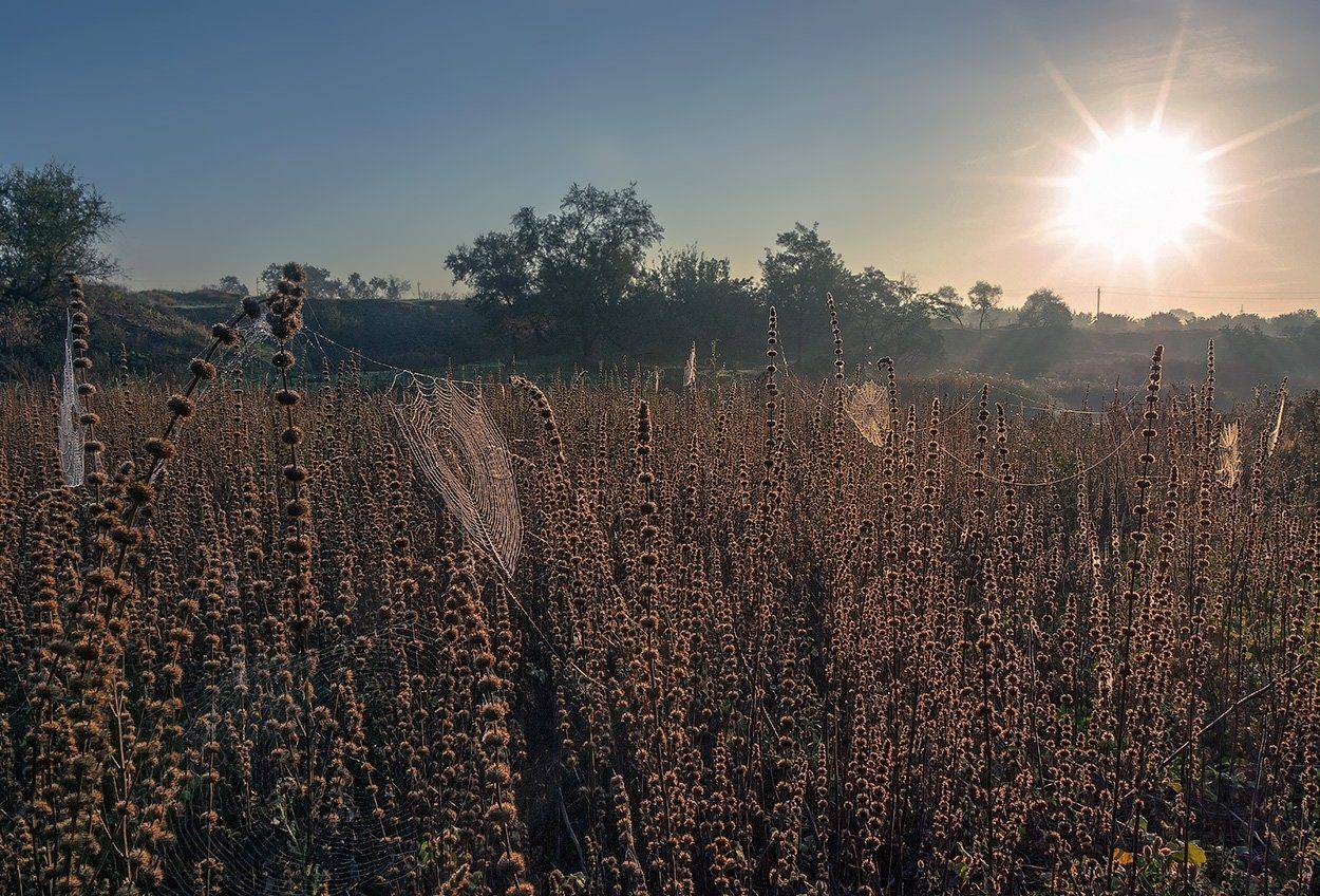 , Игорь Мелекесцев