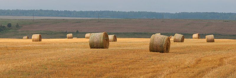 ...и робкий солнца луч пробился из-за хмурых туч... фото превью