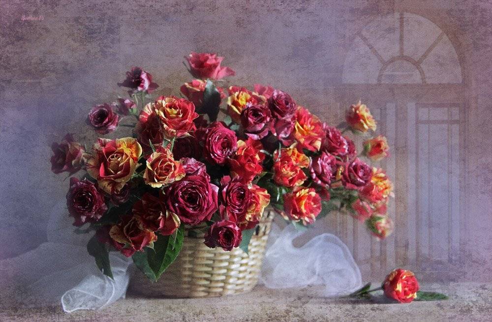 цветы, натюрморт, Svetlana Ра