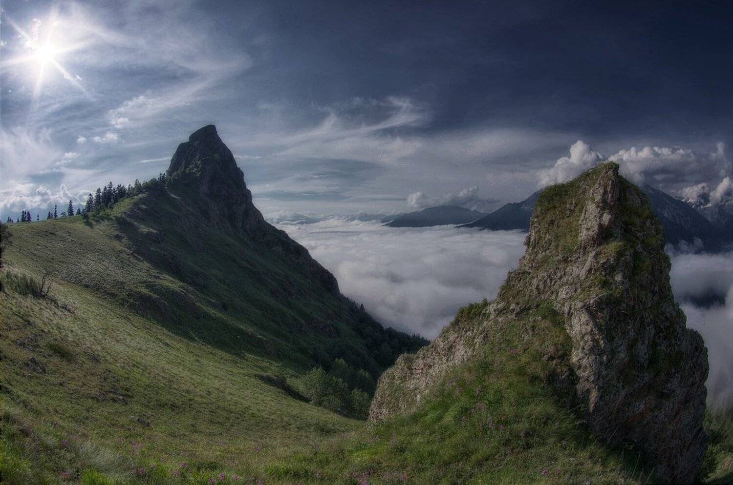 закан, большая лаба, Виктор