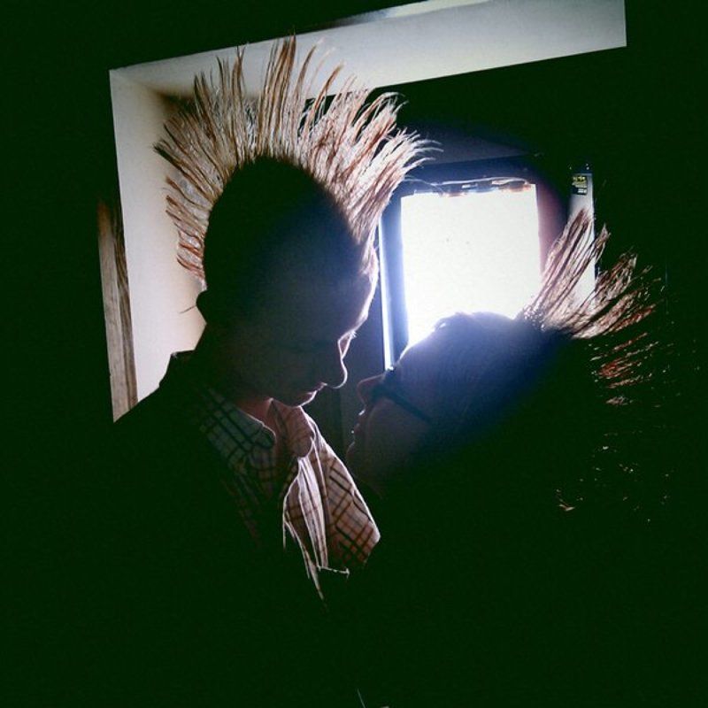 мотыльки фото превью