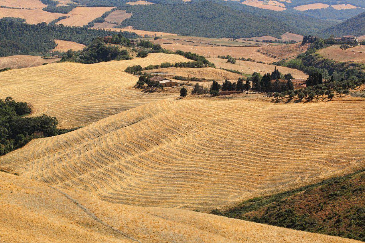 италия, тоскана, Игорь Дубровский