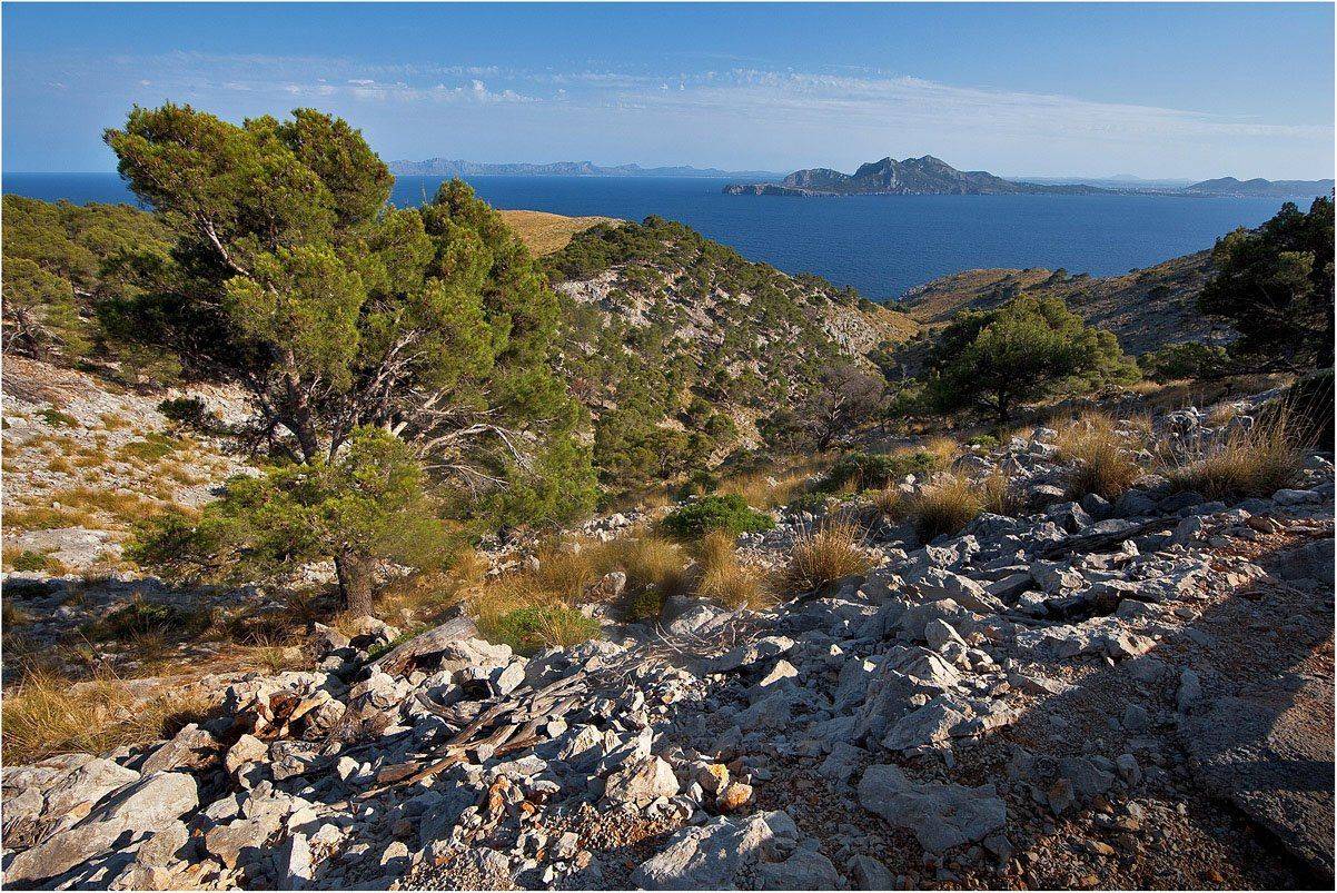 испания, майорка, форментор, природа, Сергей Гаспарян
