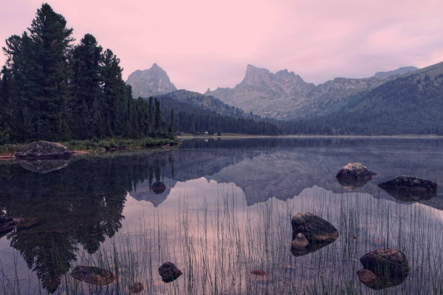 , Галина Хвостенко