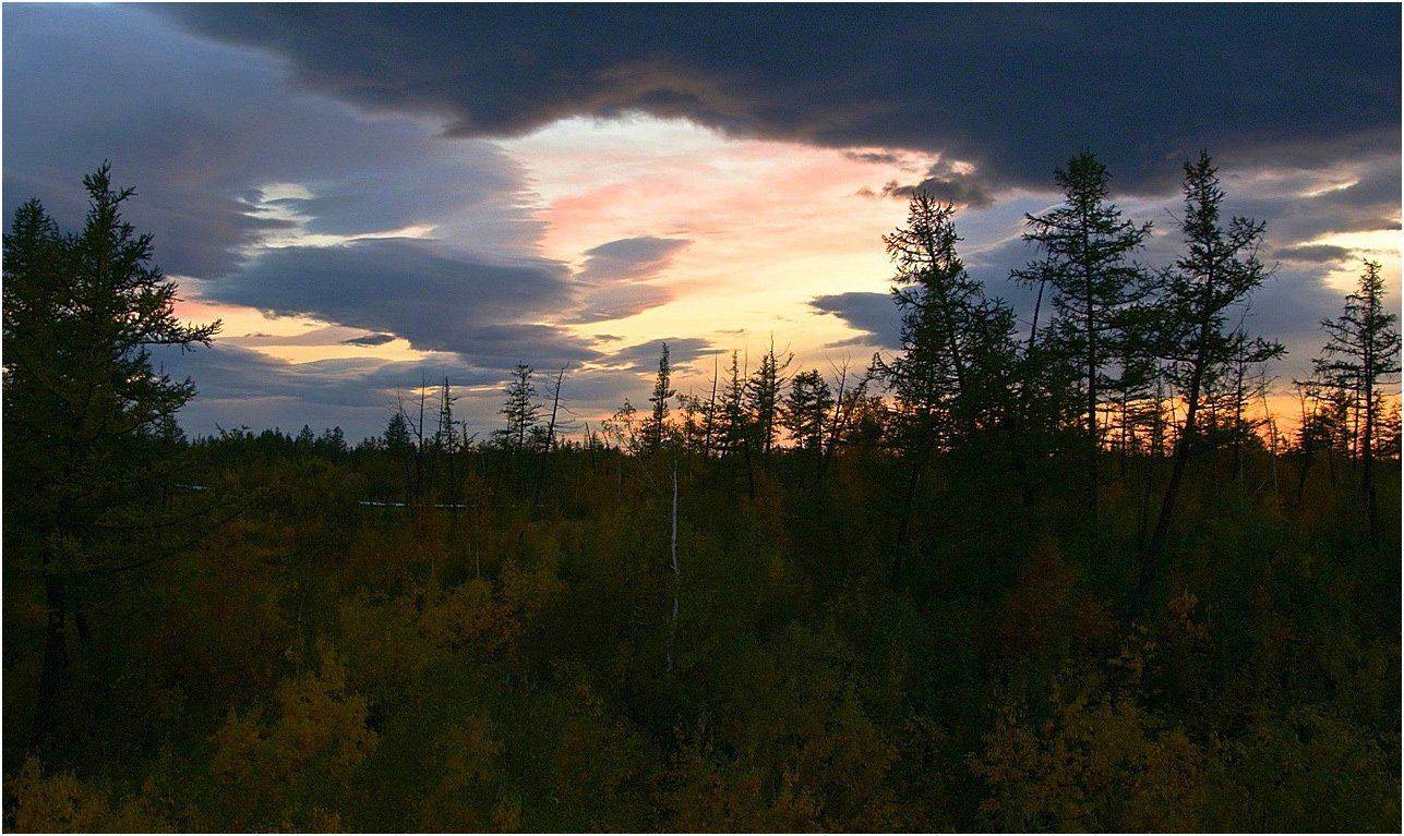таймыр.осень, Vladimir