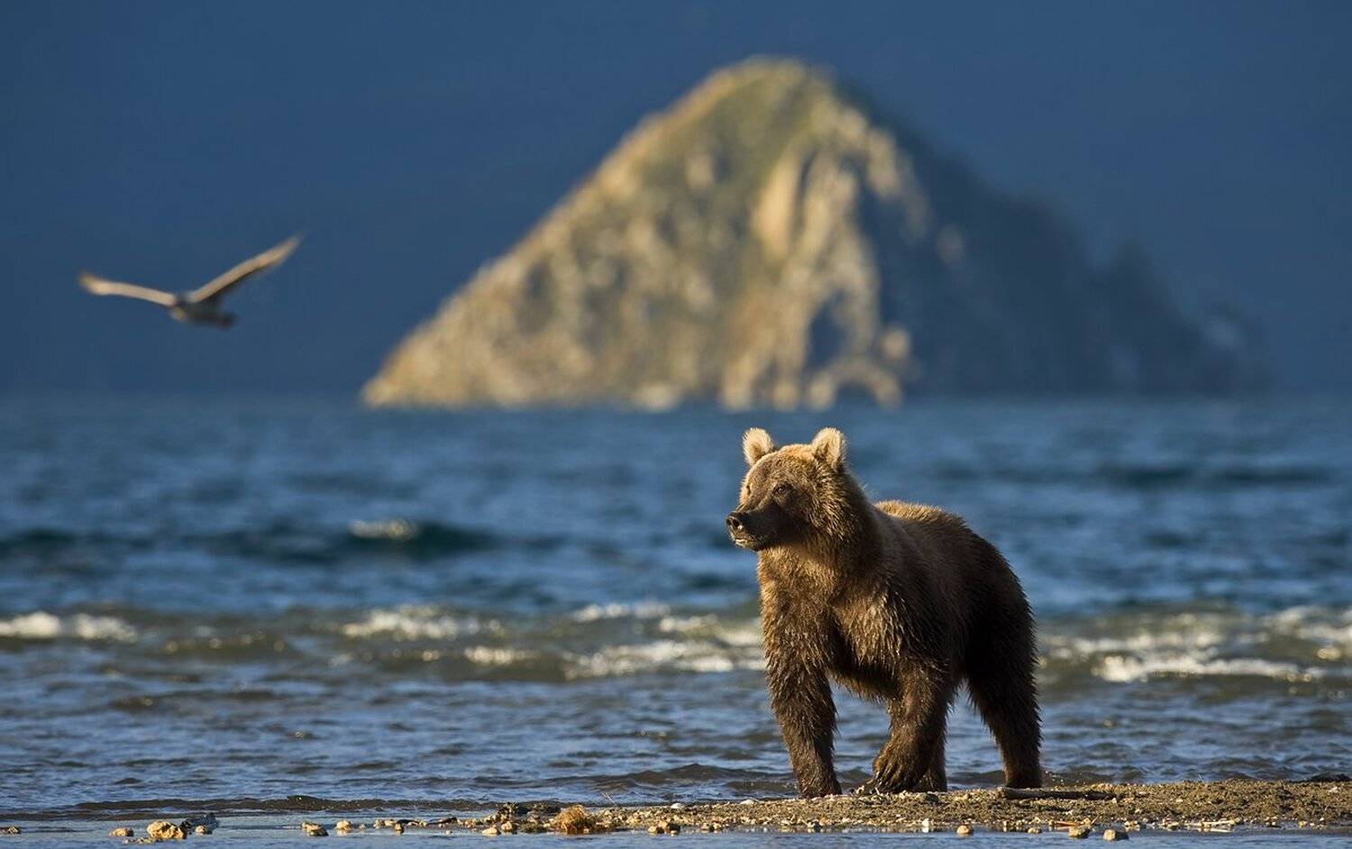 , Сергей Иванов