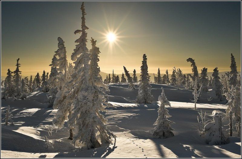 первые 10 фотографий фото превью