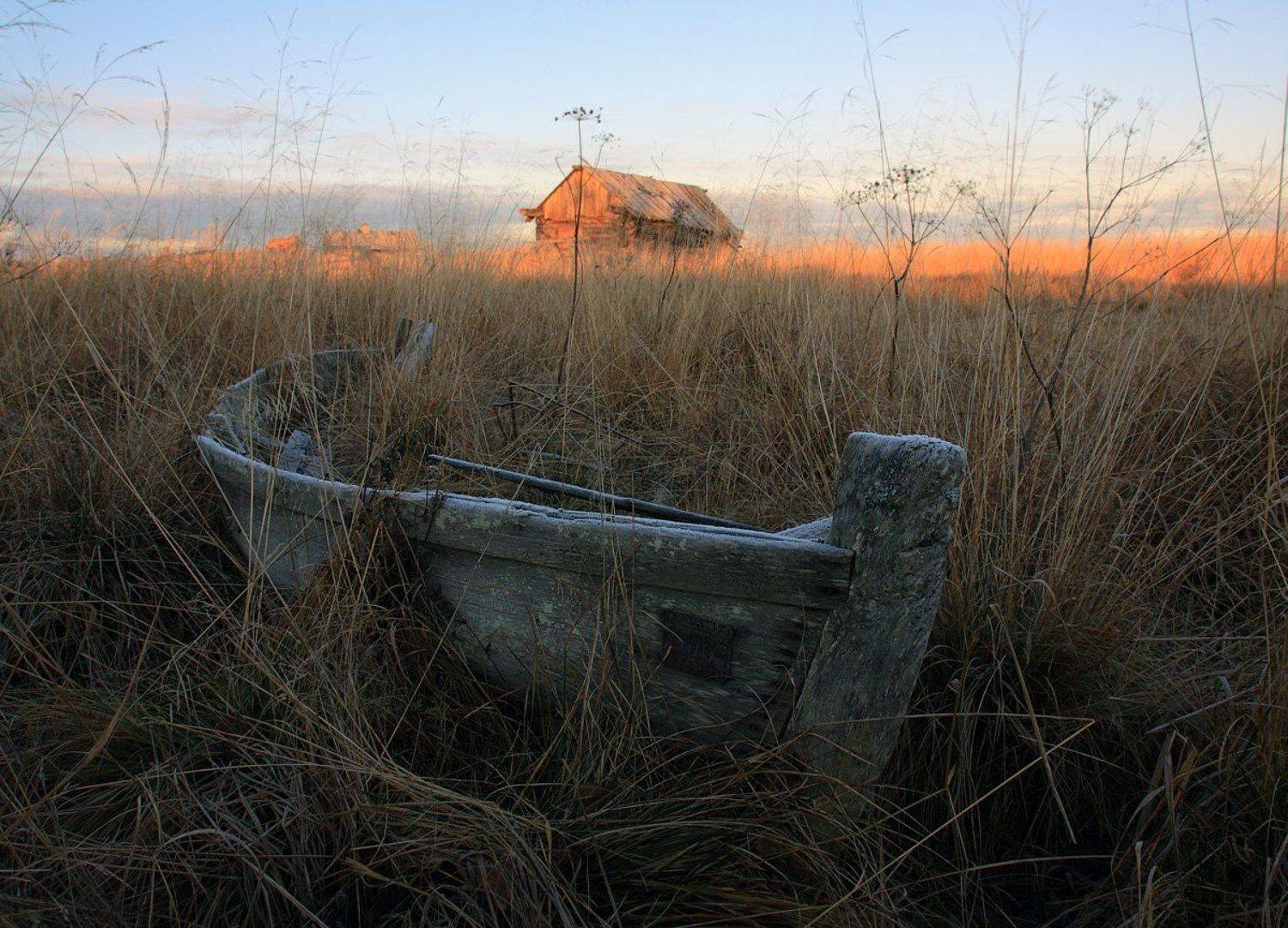 , Андрей Котов