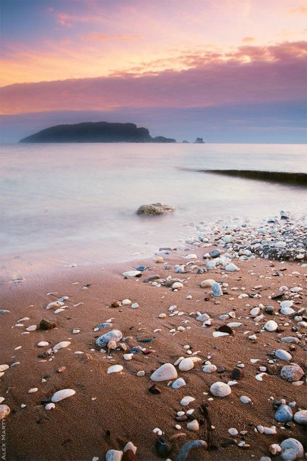 , Alexander Martynov