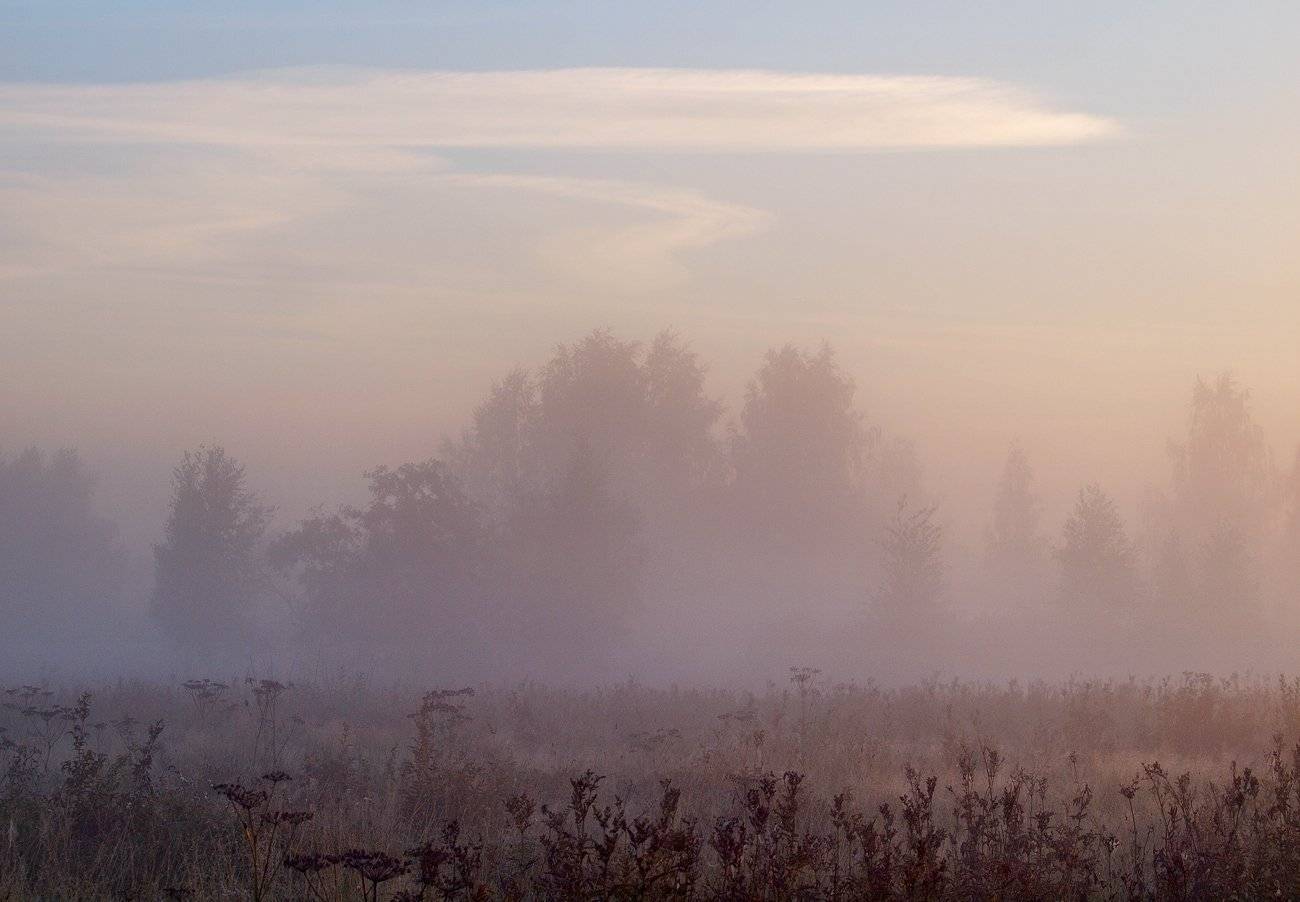 , Владимир Перепечаев