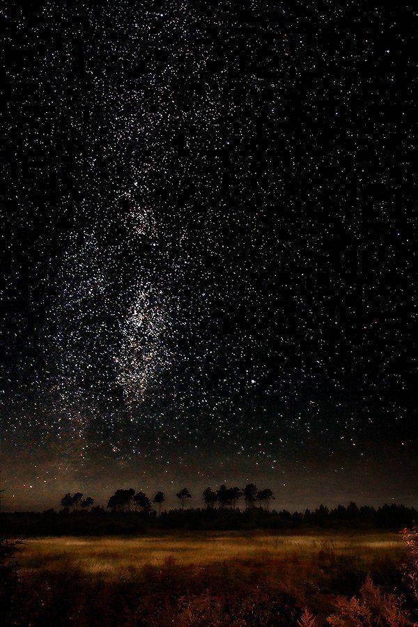 , Эдуард Альт