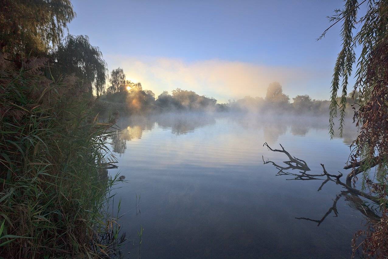 , Петр Антонович