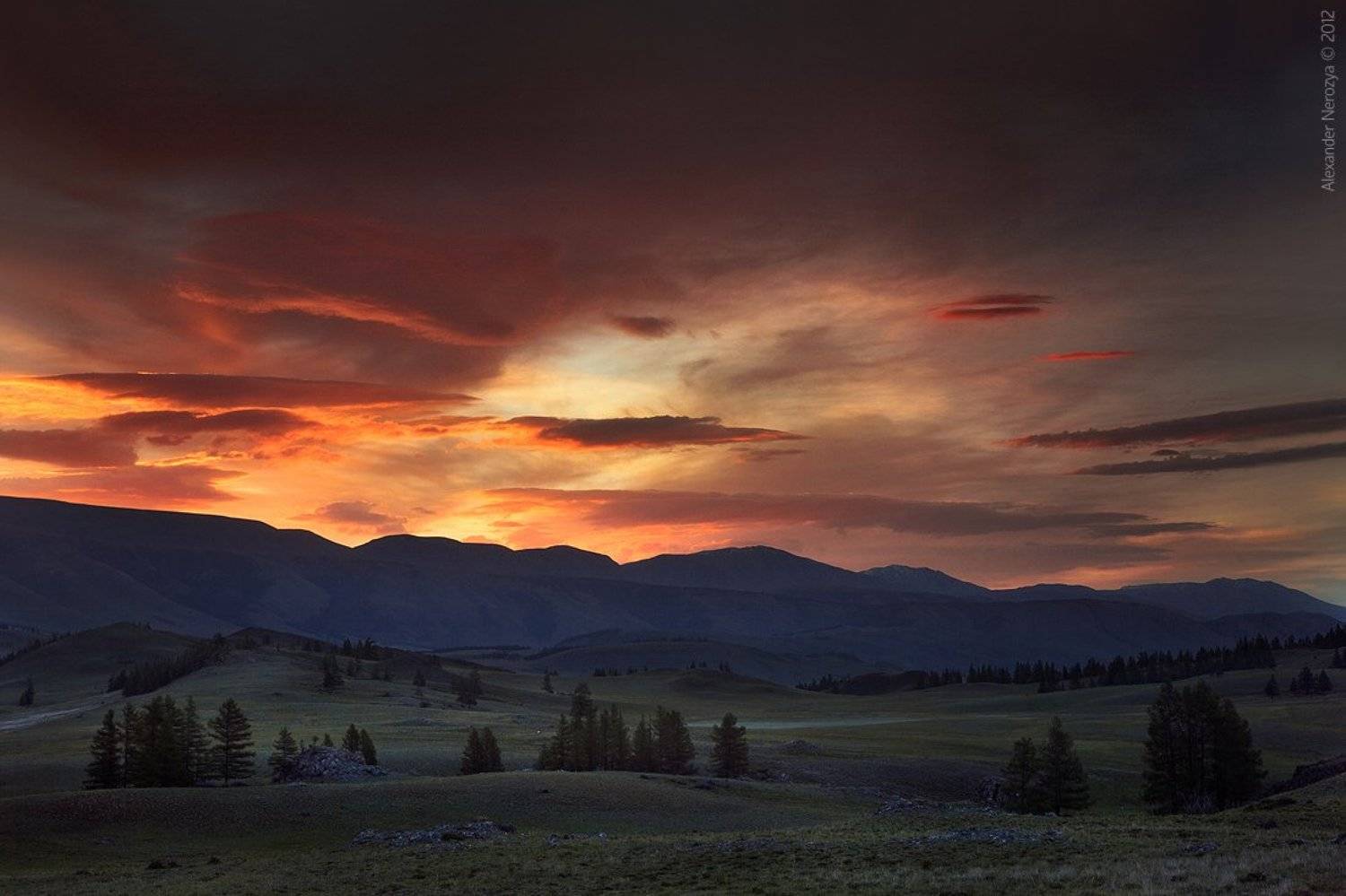 алтай, , , сибирь, , , россия, , , северо-чуйский, , , хребет, , , горы, , степь, , , красота, , , простор, , , лиственницы, , , нерозя, Horimono